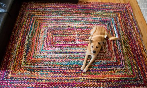 Best Rugs for Dogs