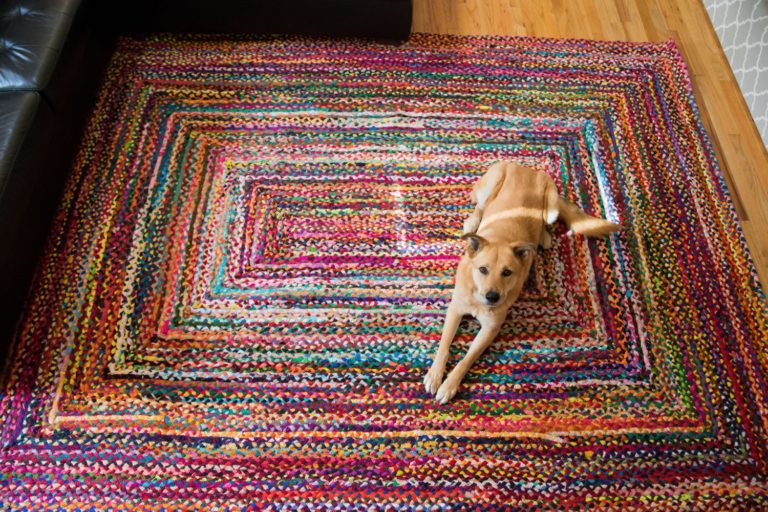 Best Rugs for Dogs