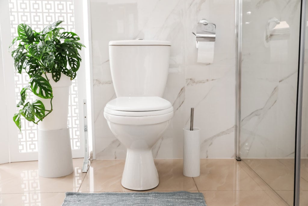 Small toilet in bathroom with marble tile wall being reviewed