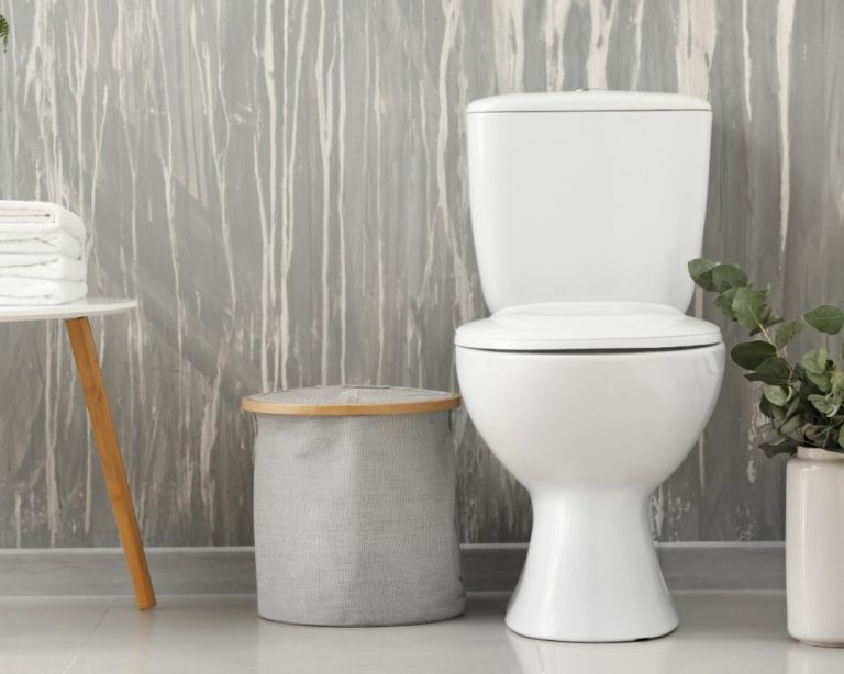 Best Comfort Height Toilet