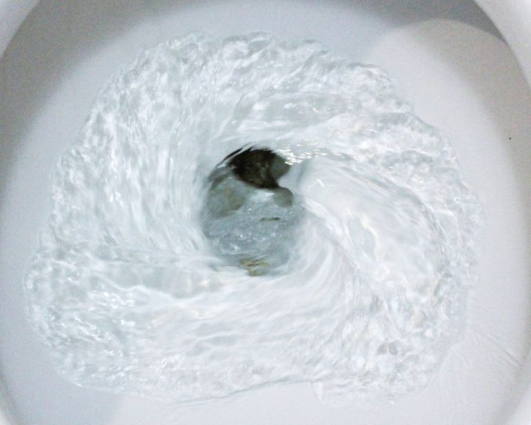 Best Flushing Toilet