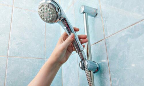 Best Handheld Shower Head For an Easy Shower