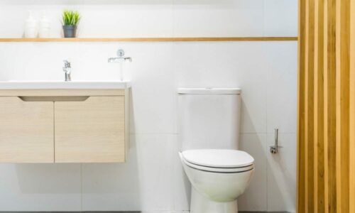 4 Best Short Depth Toilets With Short Lengths for Tiny Homes