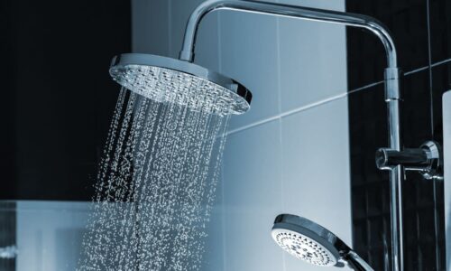 Best Dual Shower Head