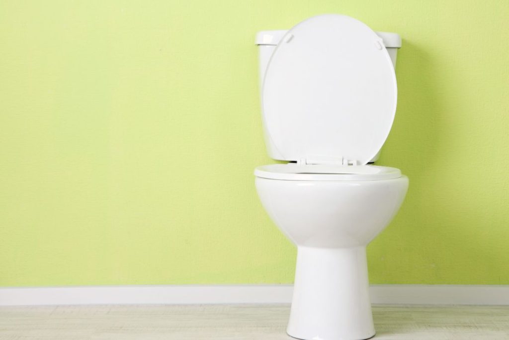 Slow Flushing Toilet