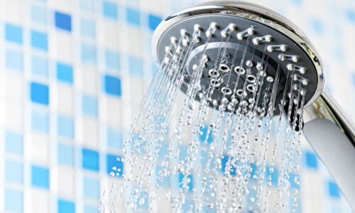 Best Low Flow Shower Head