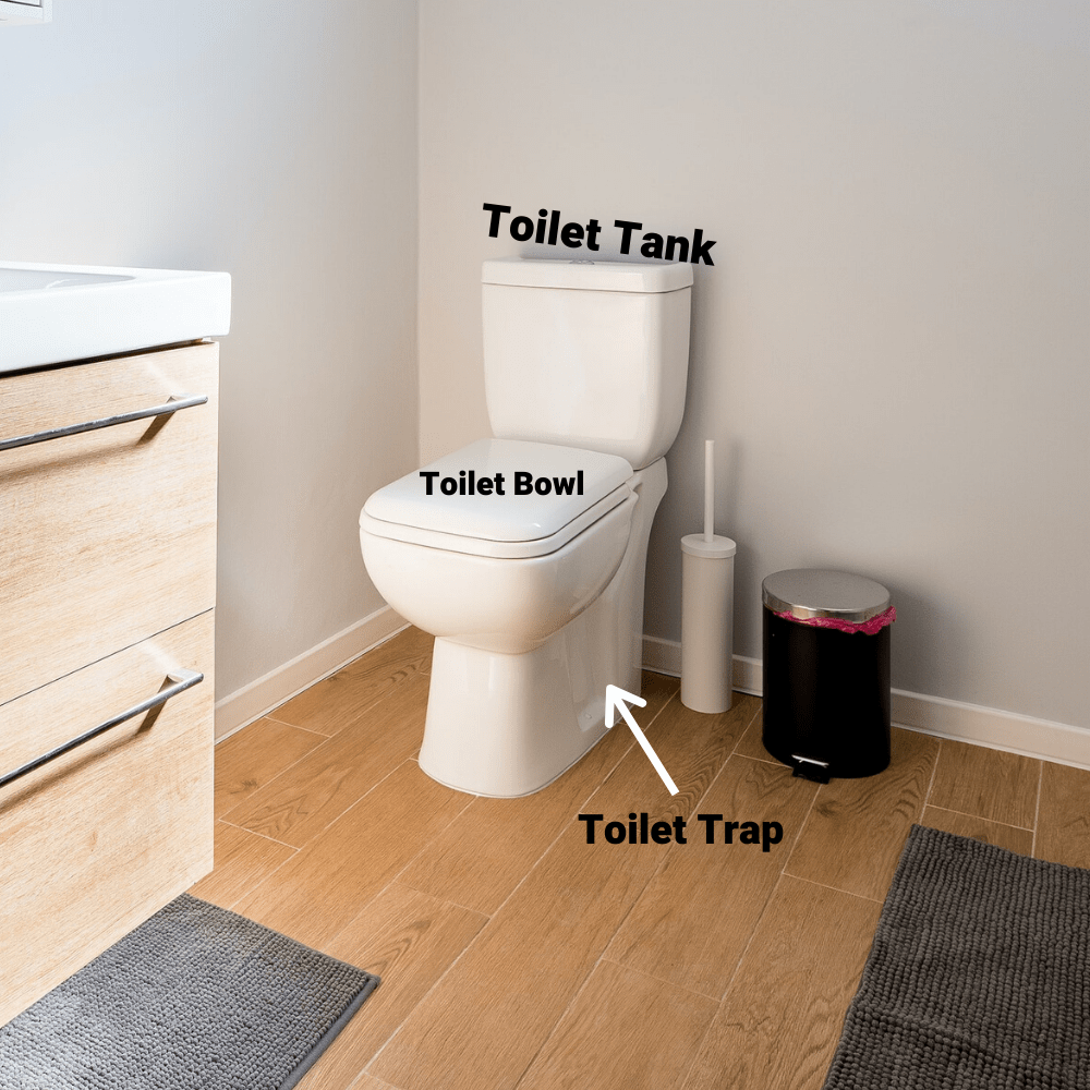 Parts of the toilet labeled