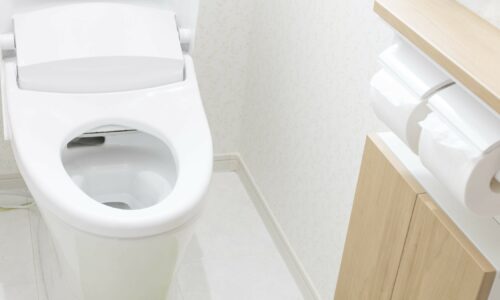 How to Adjust the Water Level in Your Toilet