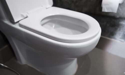 How Many Gallons Does a Running Toilet Use Per Day?