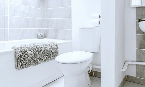 Top 5 How to Prevent Calcium Buildup in Toilets Methods