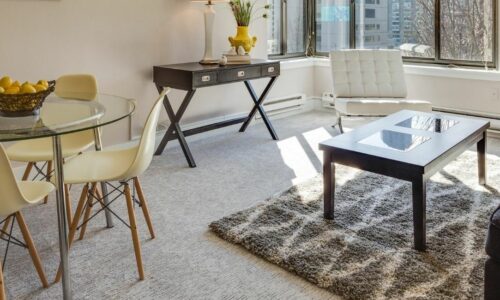 Gray Area Rugs Under $200 Ideas