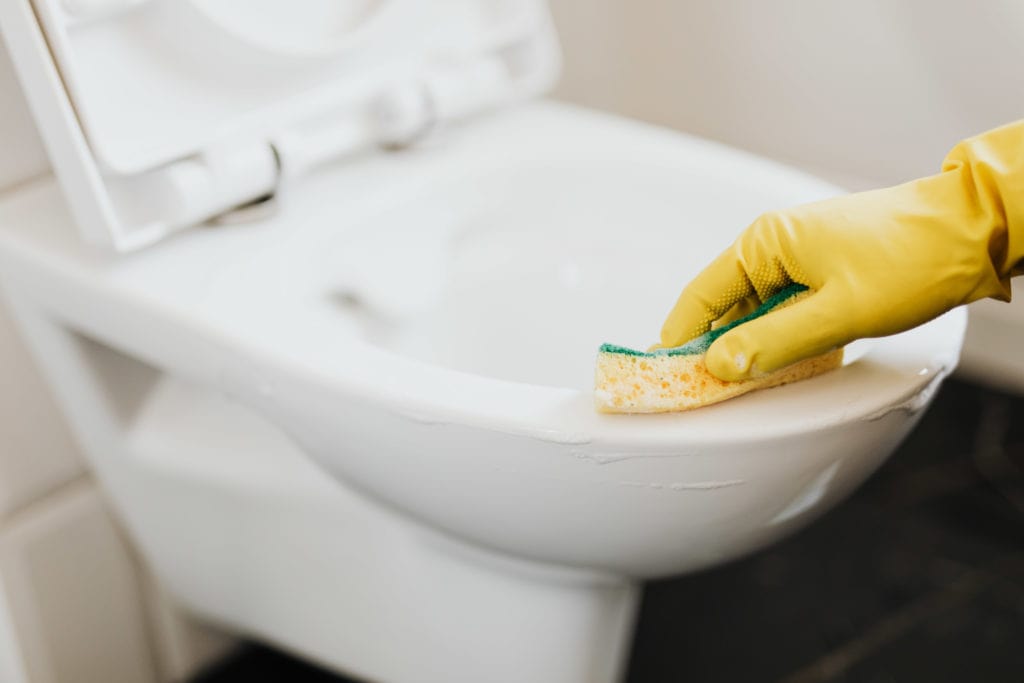 Person cleaning a toilet