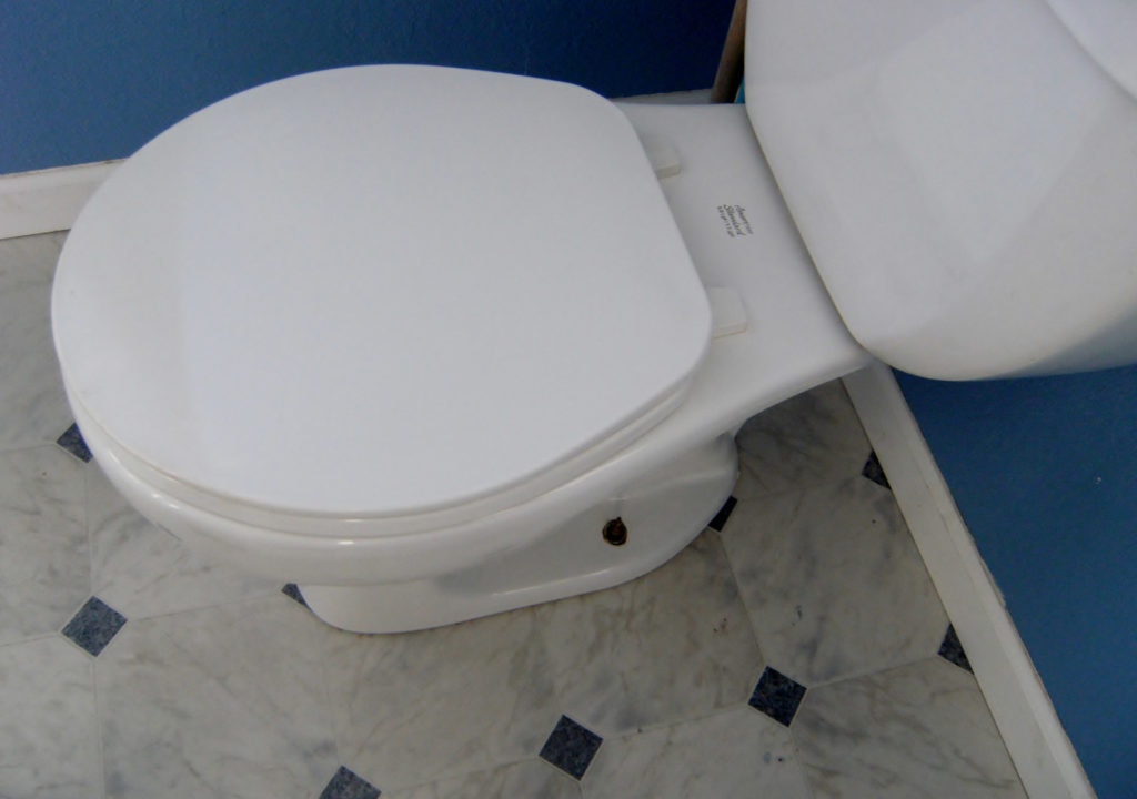 Toilet needing repair