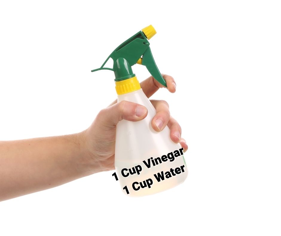 1 Cup Vinegar 1 Cup Water