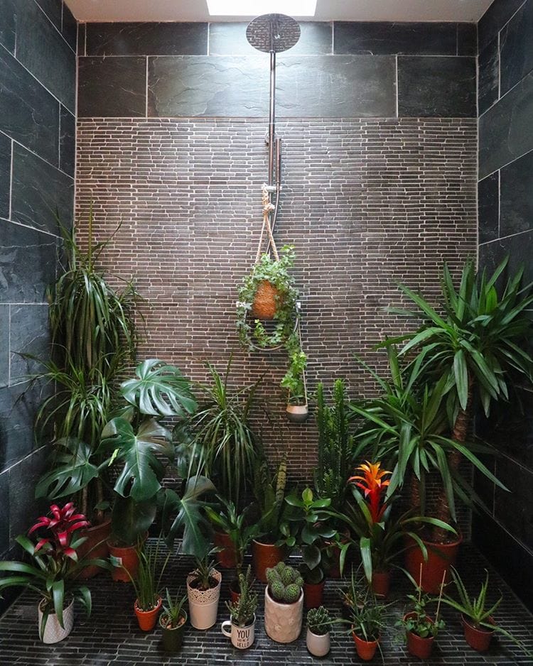 walk in shower idea