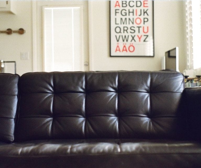 How To Get Dry Urine Smell Out of Any Couch