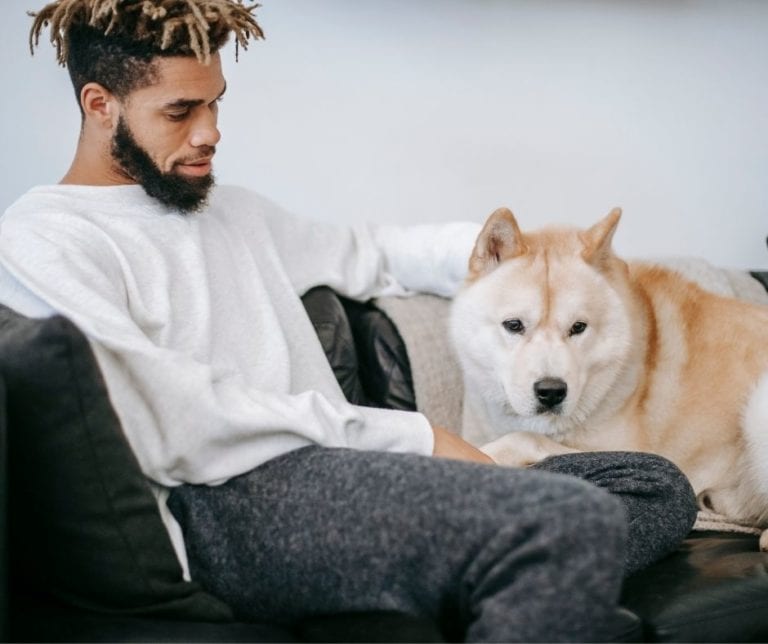 How to Get Smells Out of a Microfiber Couch