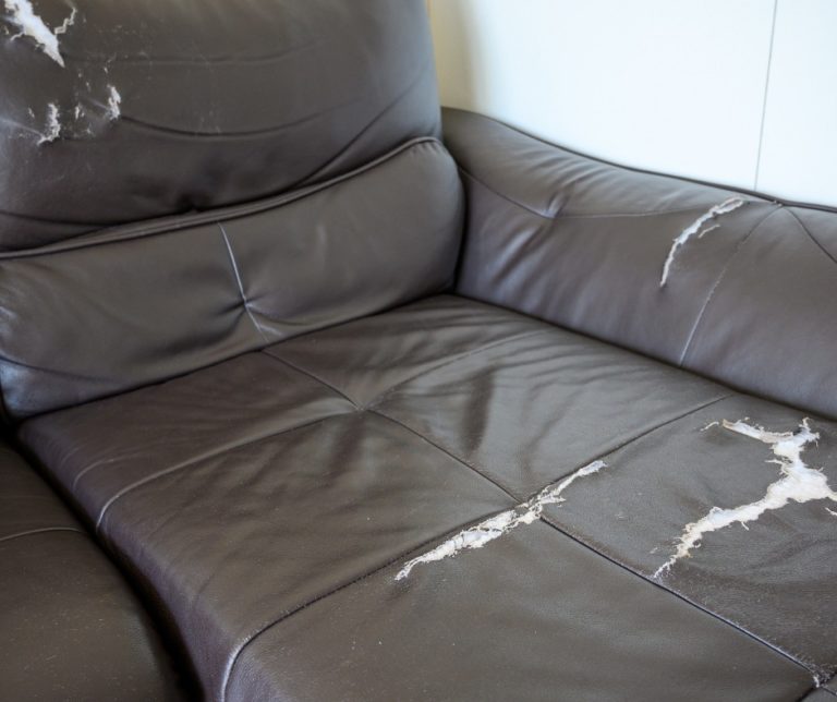 Can You Replace Leather on a Couch?