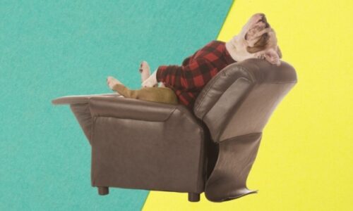 What Can Cause a Recliner to Lean to One Side?