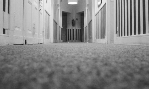 5 Best Carpet Protectors for Furniture Legs