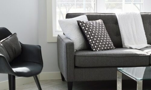 Can You Use a Carpet Cleaner on a Couch?