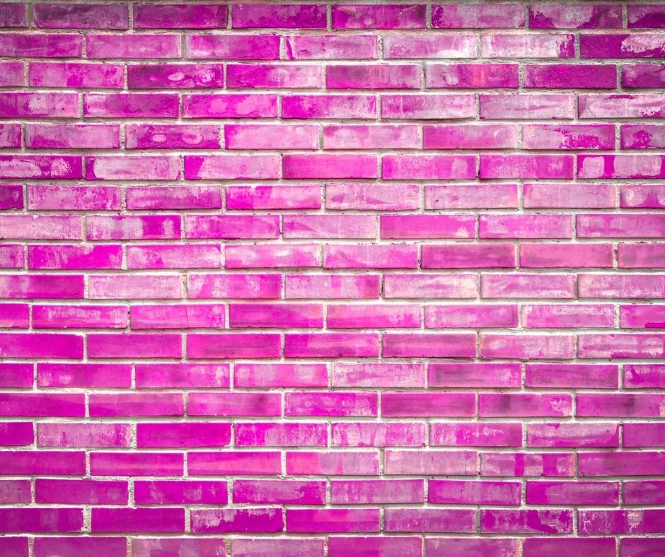 Fuchsia Wall