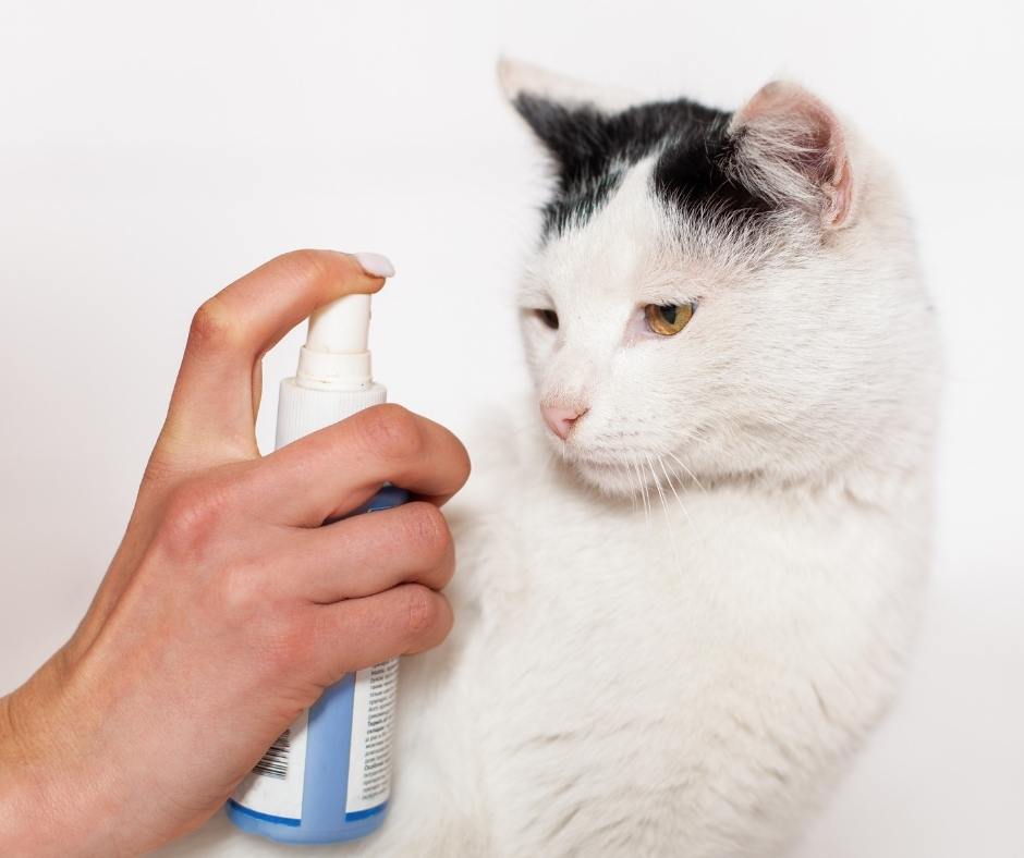 Cat Spray