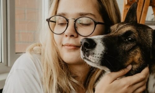 Best Dog Repellent Spray for Furniture