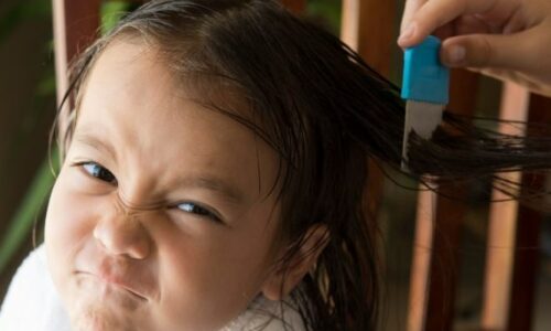 What Do You Spray on Furniture to Kill Lice?