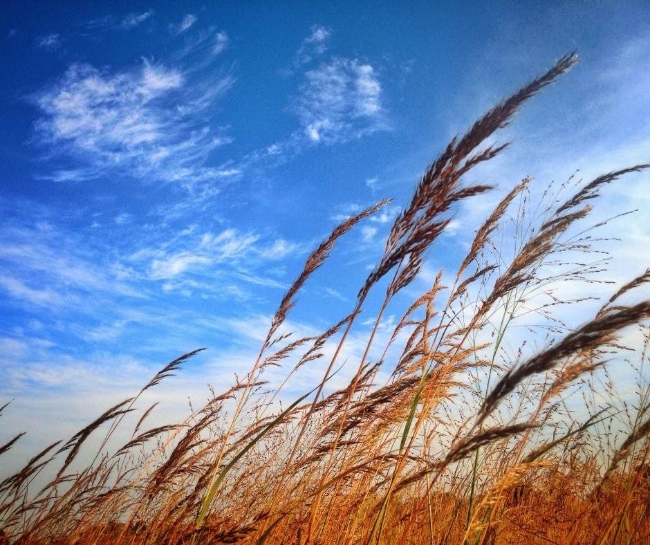 Windy place