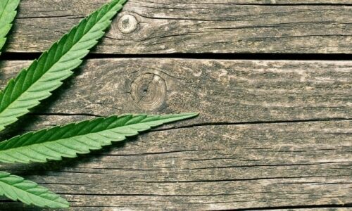 What Does Hemp Oil do For Furniture?