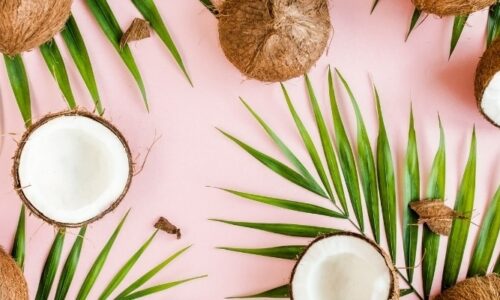 Can You Use Coconut Oil on Leather?