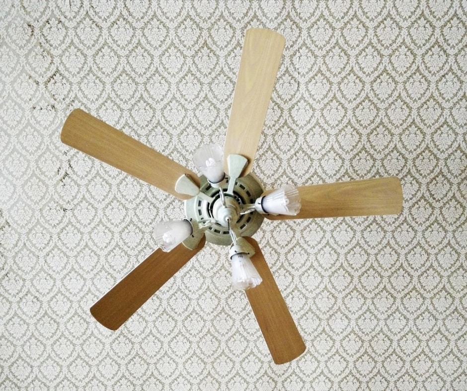 Ceiling Fan