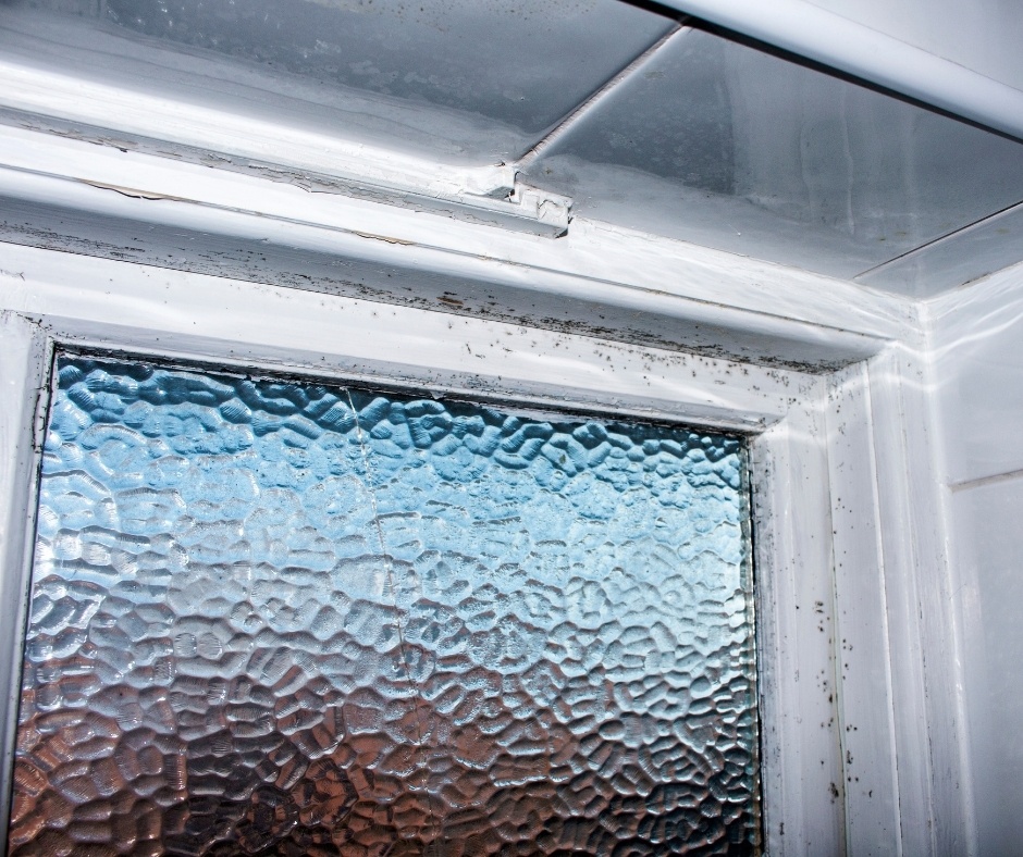 Mold window