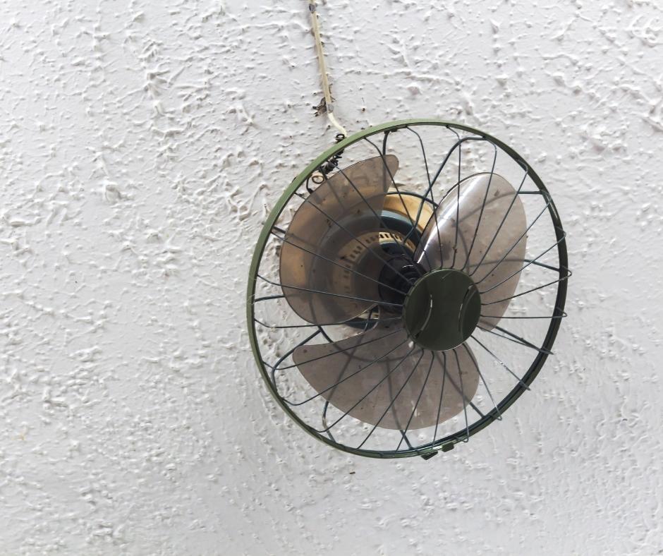 Caged ceiling fan