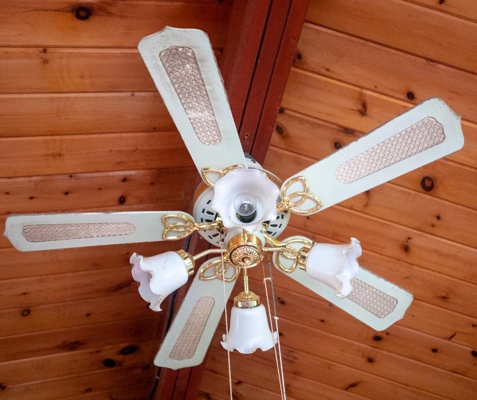 What Color Ceiling Fan Should You Buy? - swankyden.com