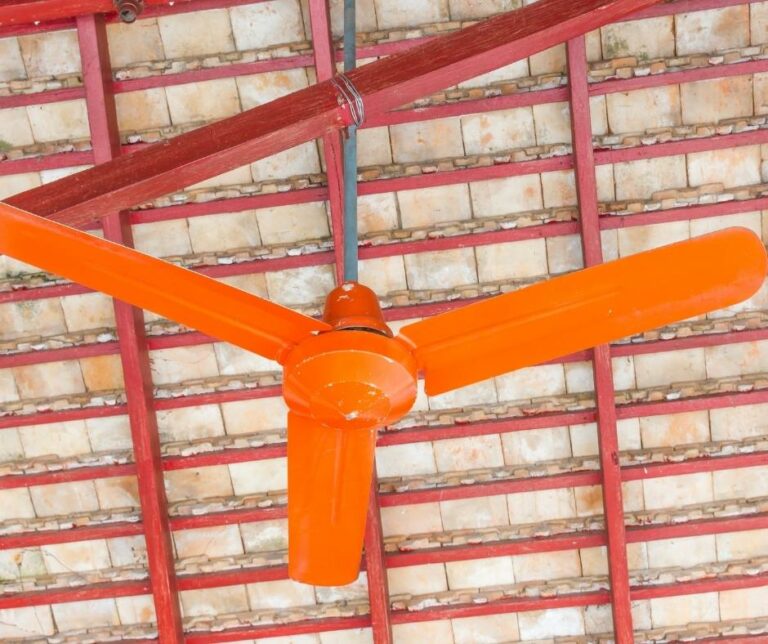 What Color Ceiling Fan Should You Buy?