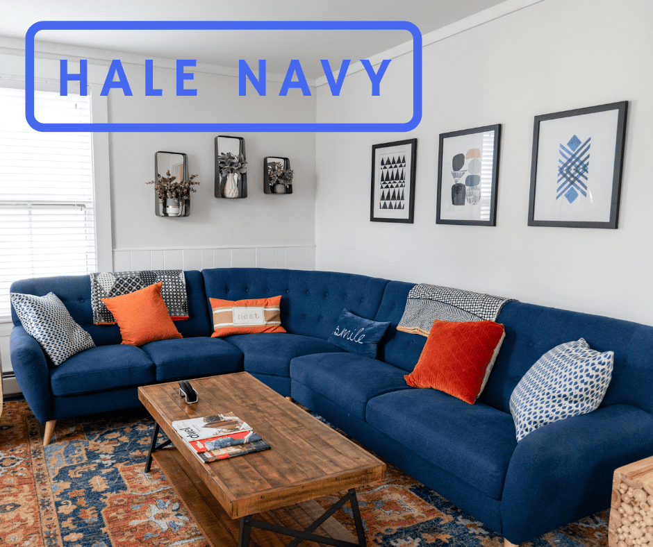 Hale Navy