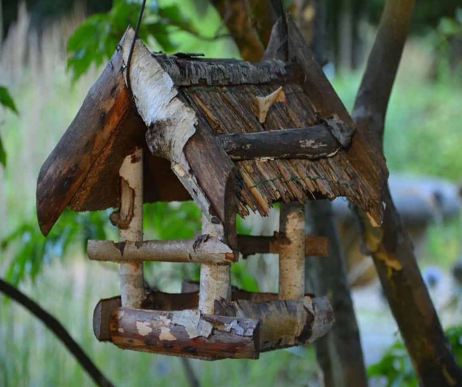 Bird house made using birch wood