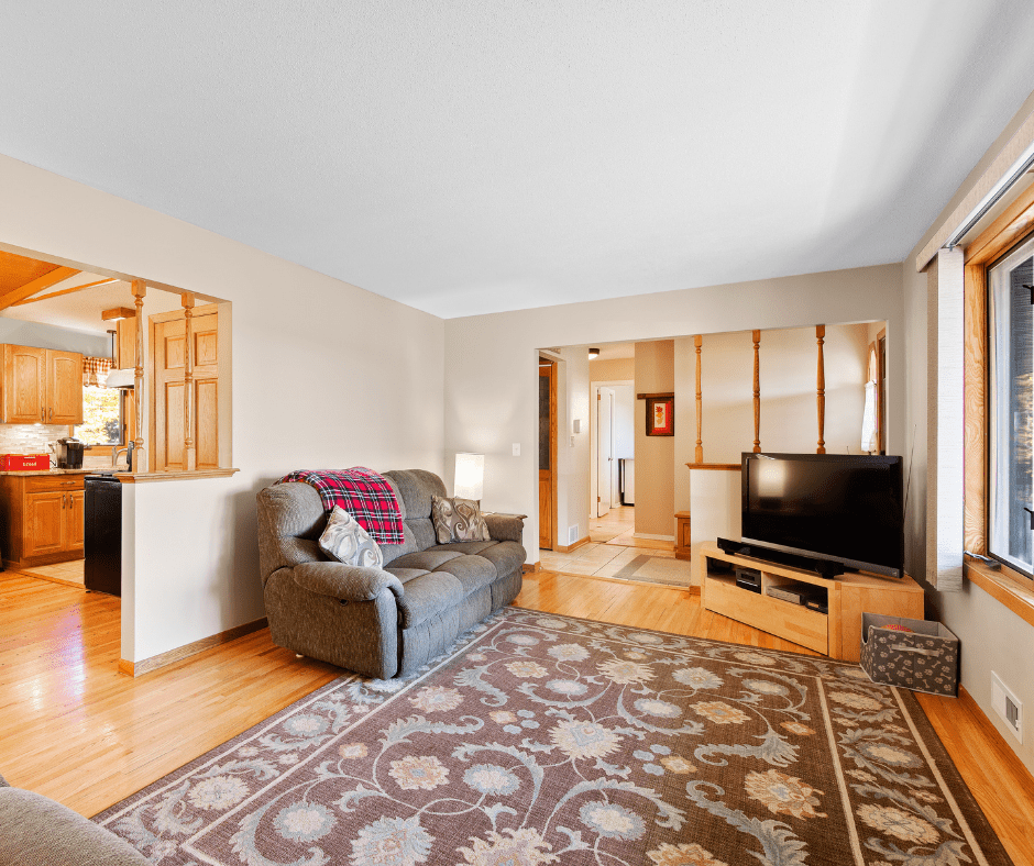 Rug on living area with vinyl plank flooring