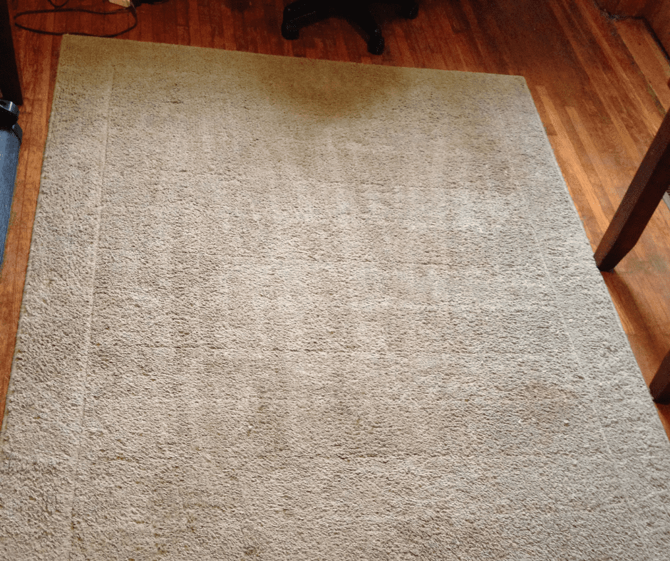 Beige rug on dark wooden floor