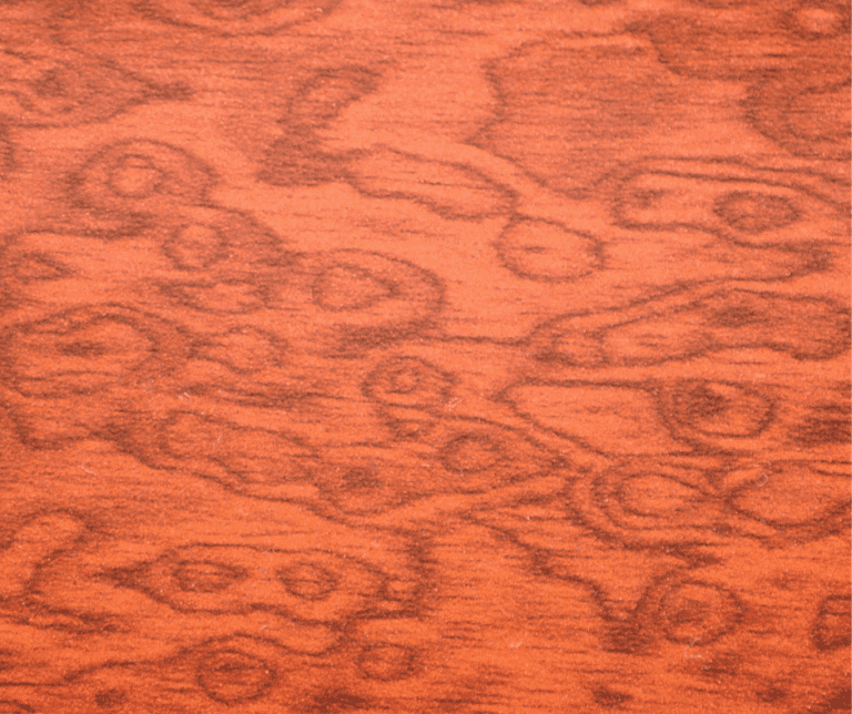 Maple vs Birch Plywood How To Choose