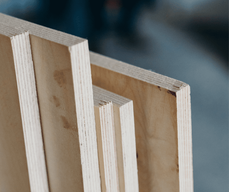 Maple vs Birch Plywood How To Choose