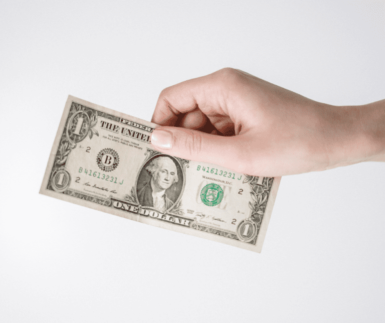 Maple vs Birch Plywood How To Choose