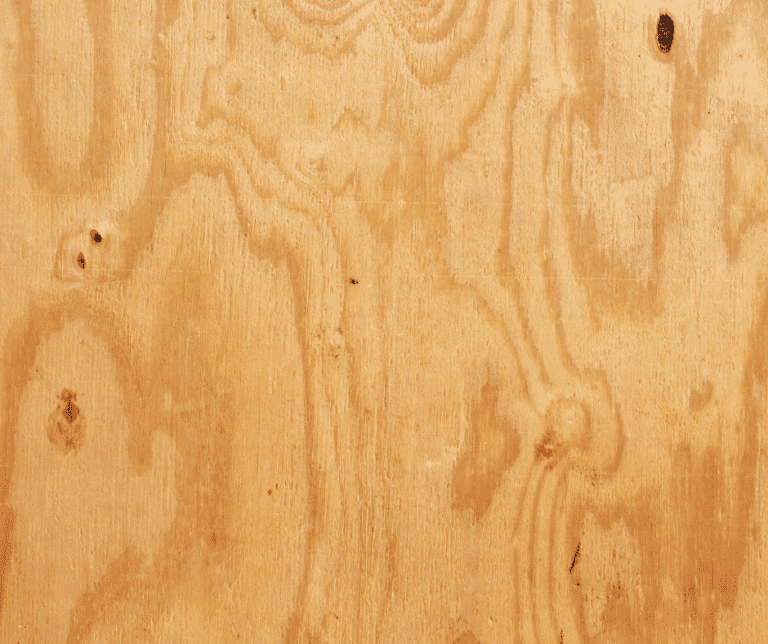 Maple vs Birch Plywood How To Choose