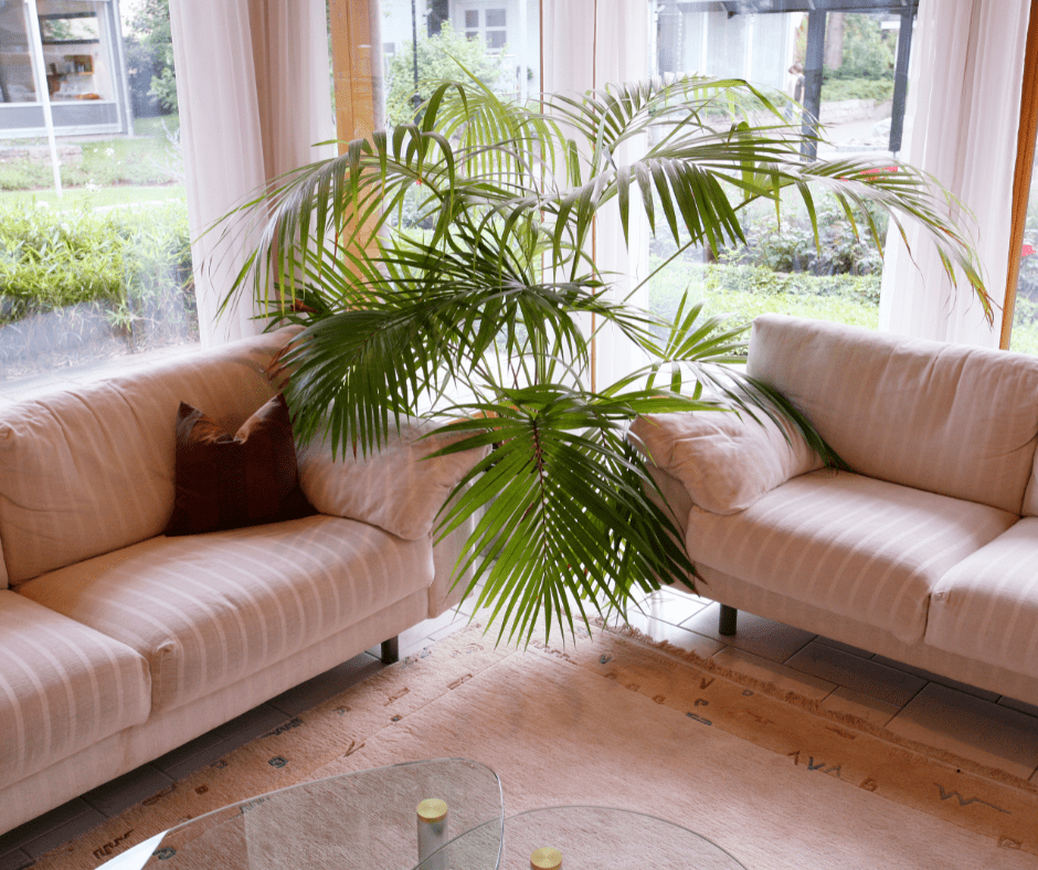 Two identical sofas in a living room with a nice view