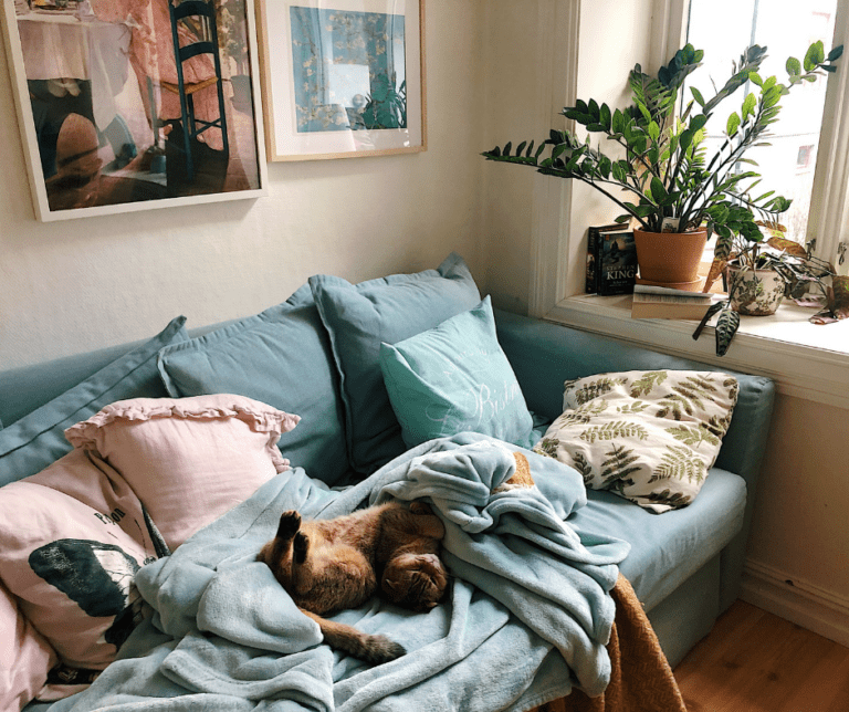 Ideas for Using a Daybed as a Couch