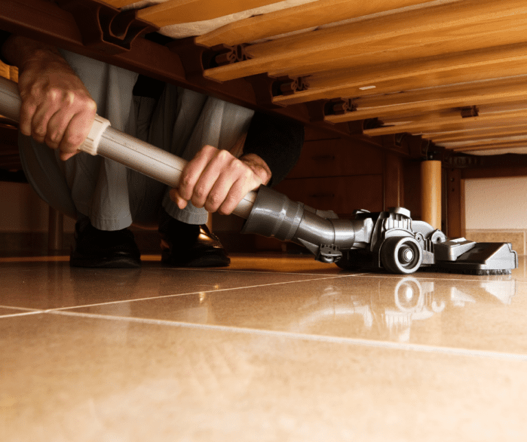 When Can Clothes Return After Bed Bug Treatment?