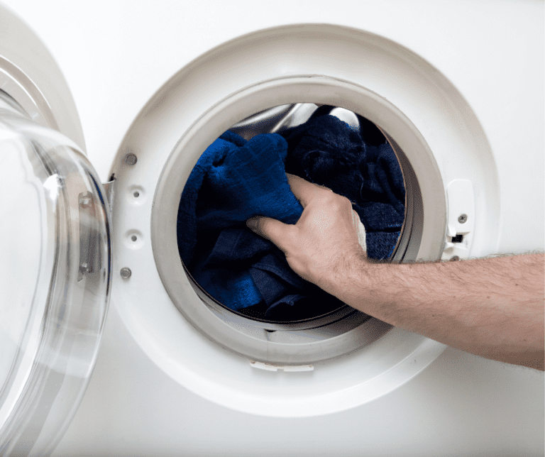 When Can Clothes Return After Bed Bug Treatment?